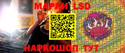 стаф Заволжье