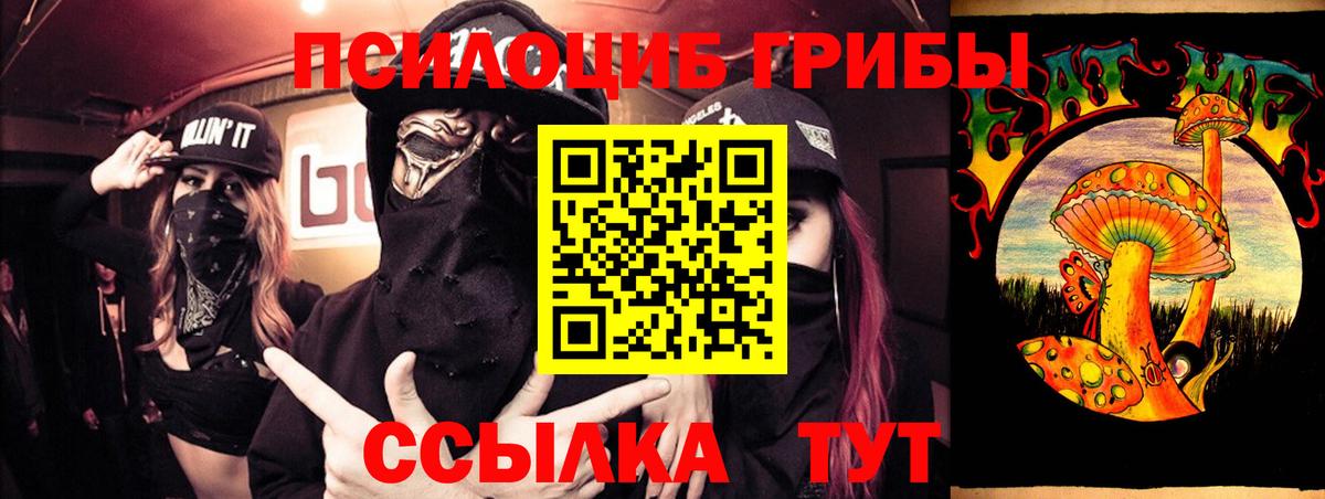 Псилоцибиновые грибы прущие грибы  Вход с VPN  цены   Лесозаводск 